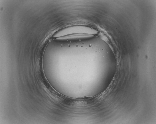 X0000078270154200611251402