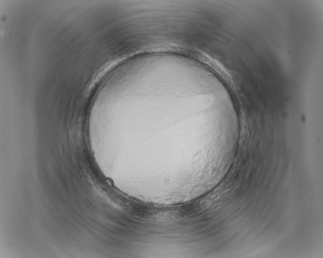 X0000078270155200611251402