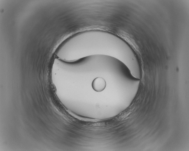 X0000078270156200611251402