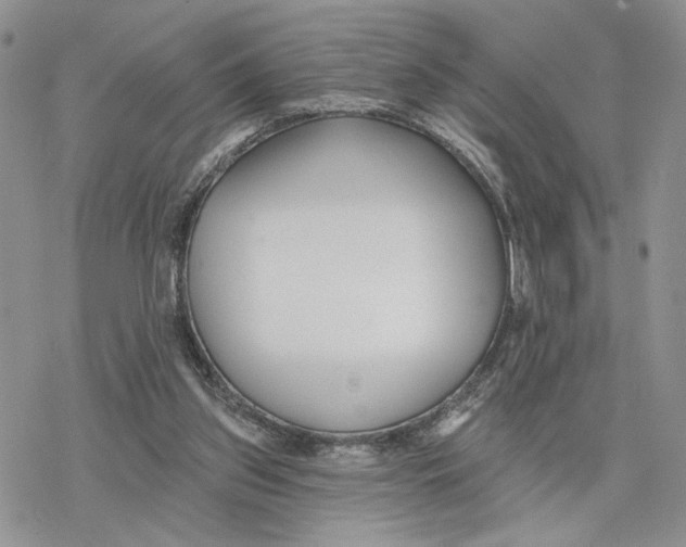 X0000078270157200611251402