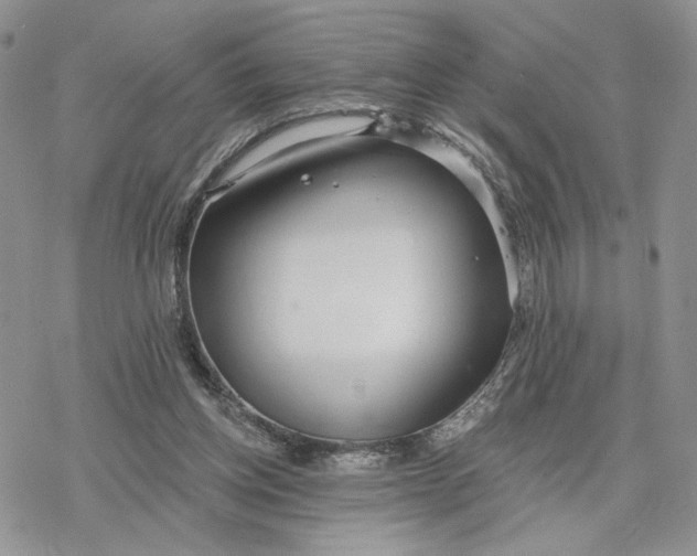 X0000078270158200611251402