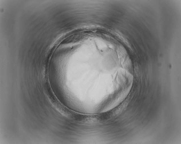 X0000078270159200611251402