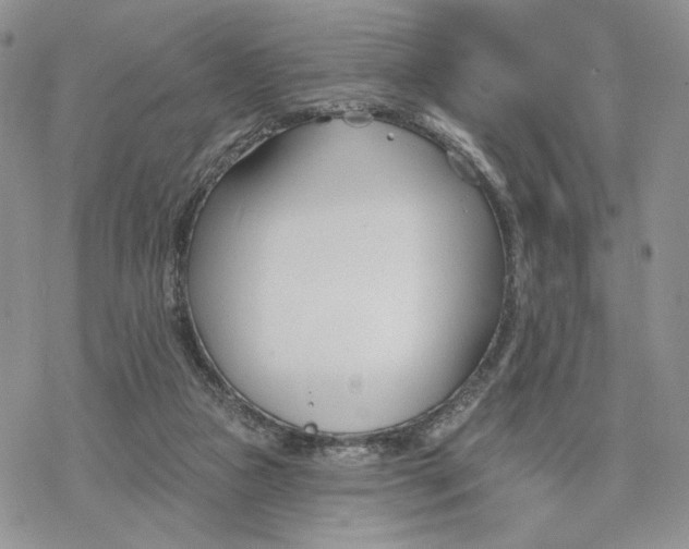 X0000078270161200611251402