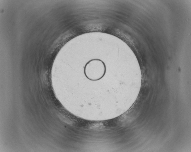 X0000078270162200611251402