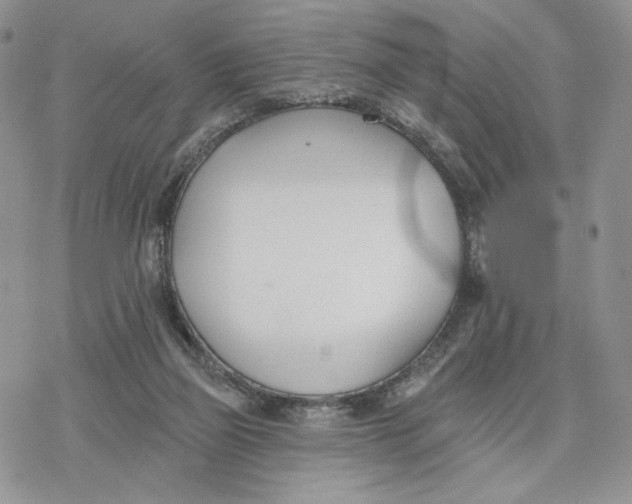 X0000078270165200611251402