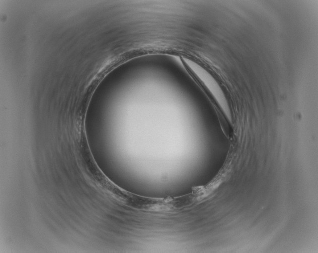 X0000078270168200611251402