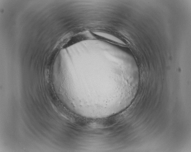 X0000078270171200611251402