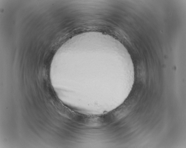 X0000078270173200611251402