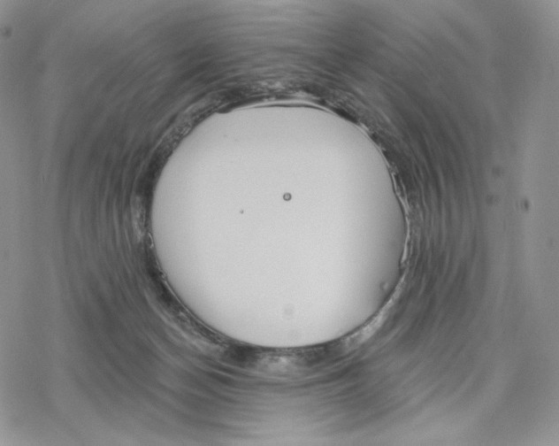 X0000078270174200611251402