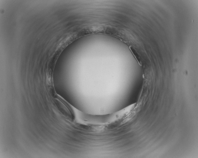 X0000078270176200611251402