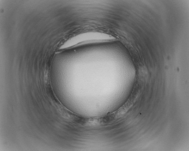 X0000078270177200611251402