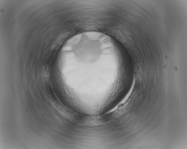 X0000078270179200611251402