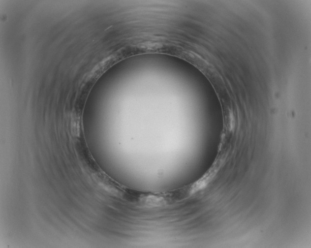 X0000078270180200611251402