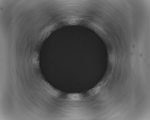 X0000078270181200611251402