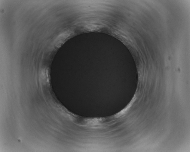 X0000078270182200611251402