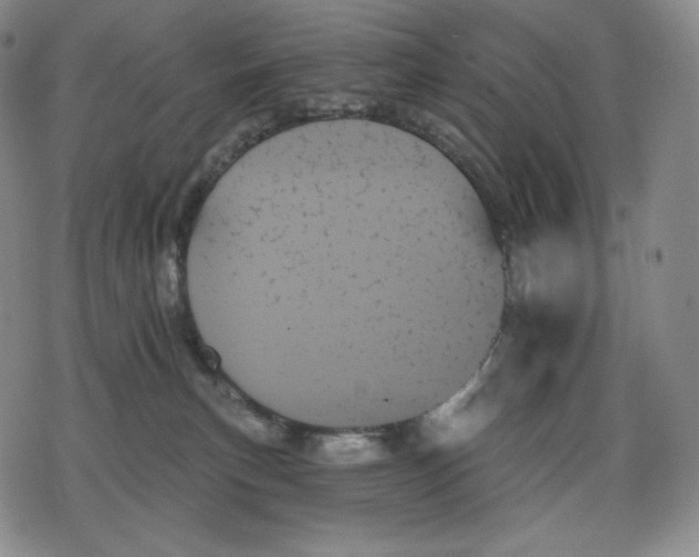 X0000078270183200611251402