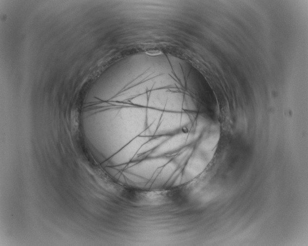 X0000078270184200611251402