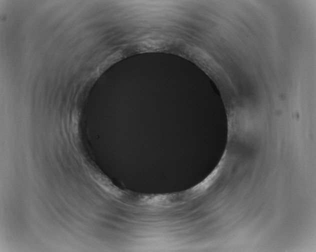 X0000078270186200611251402