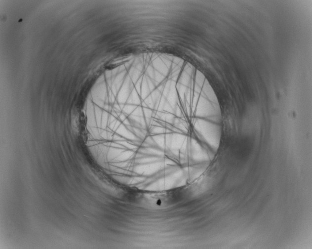 X0000078270188200611251402