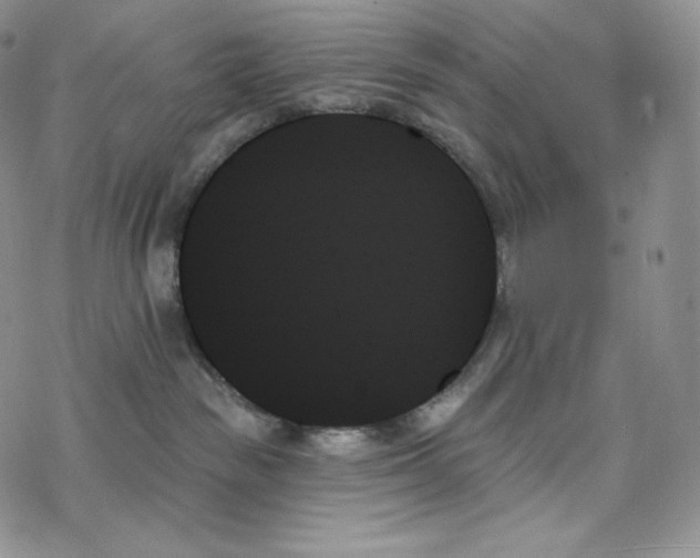 X0000078270189200611251402