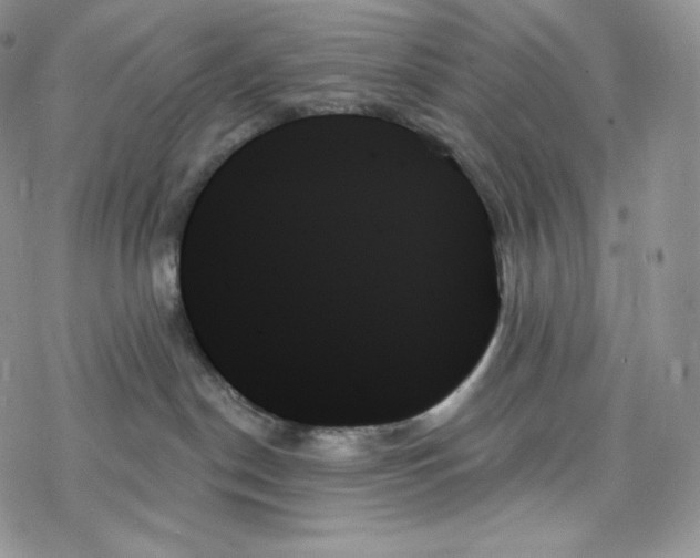 X0000078270190200611251402