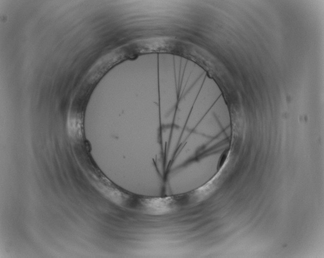 X0000078270191200611251402