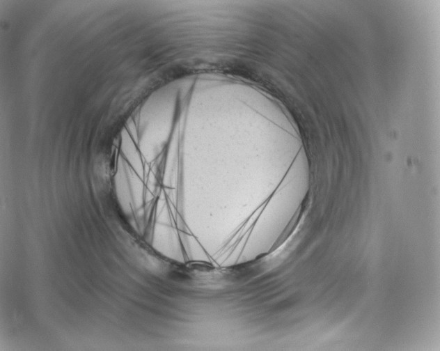 X0000078270192200611251402