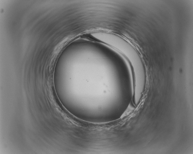 X0000078270193200611251402