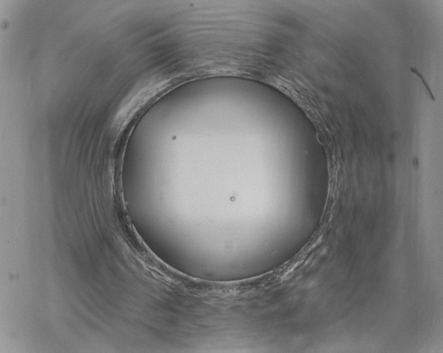 X0000078270194200611251402