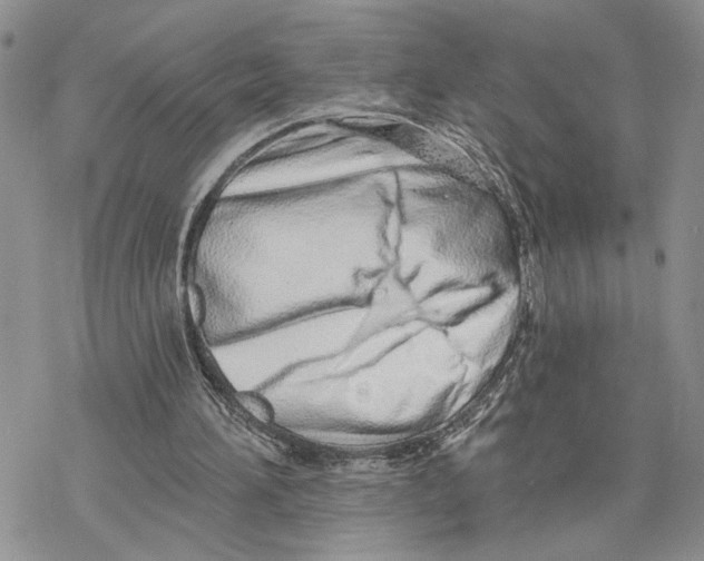 X0000078270196200611251402