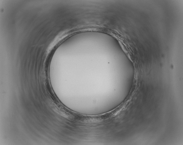 X0000078270198200611251402