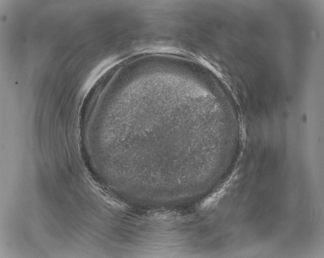 X0000078270199200611251402