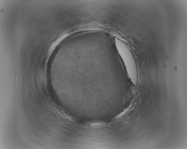 X0000078270200200611251402