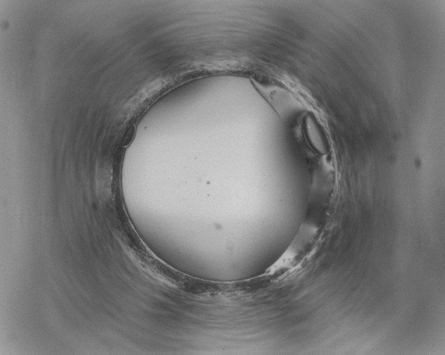 X0000078270201200611251402