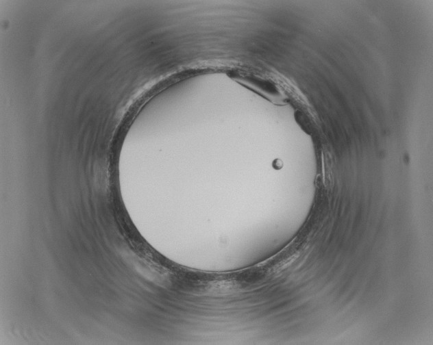 X0000078270204200611251401