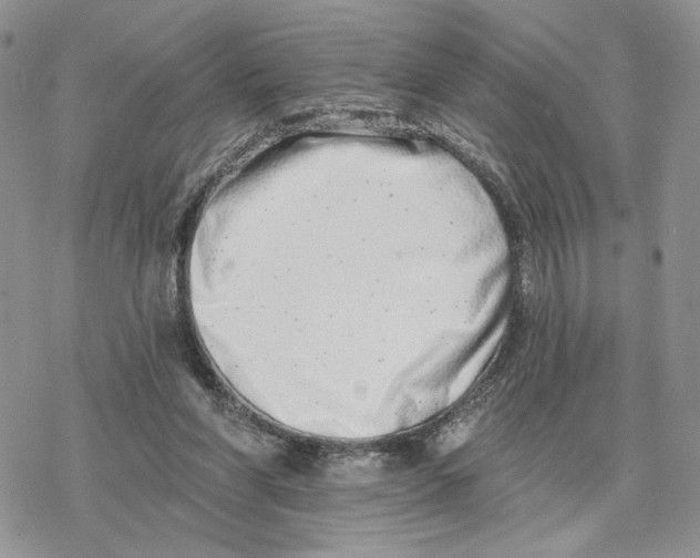 X0000078270206200611251401