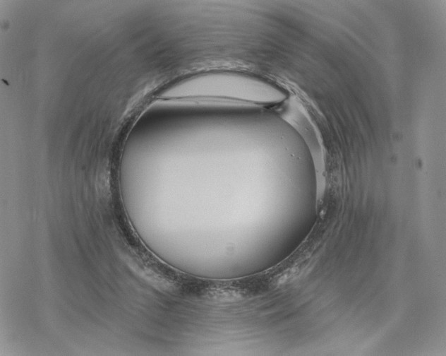 X0000078270207200611251401