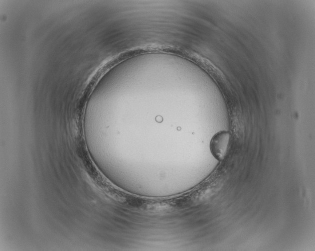 X0000078270208200611251401