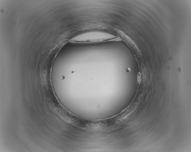 X0000078270209200611251401