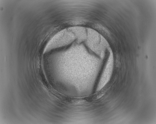 X0000078270210200611251401