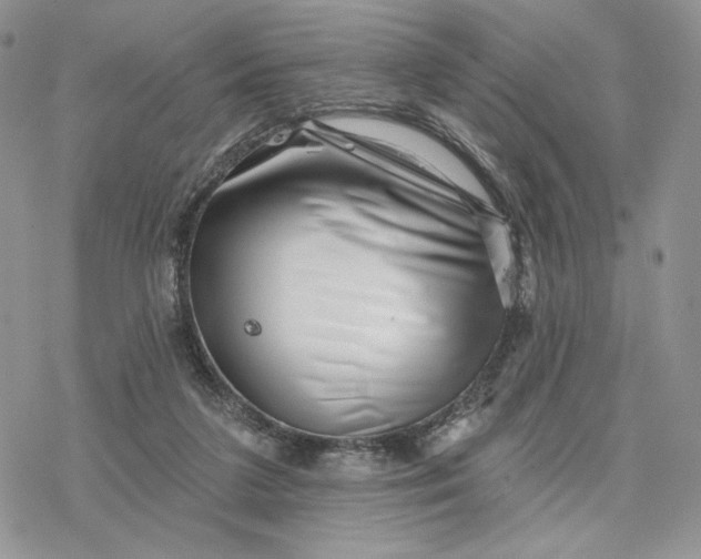 X0000078270211200611251401