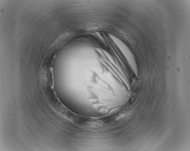 X0000078270215200611251401