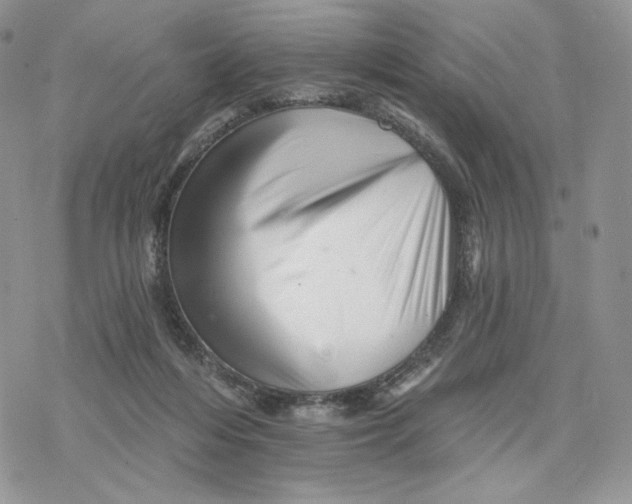 X0000078270216200611251401