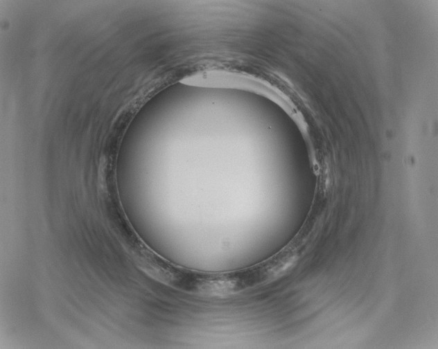 X0000078270217200611251401