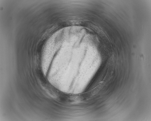 X0000078270218200611251401