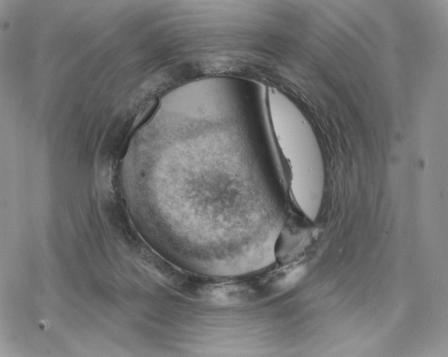 X0000078270219200611251401