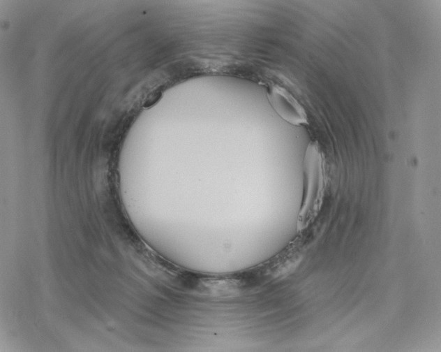 X0000078270221200611251401