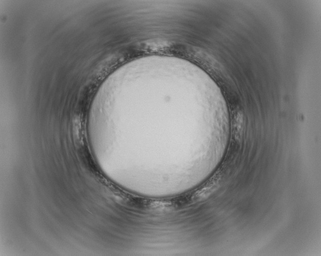 X0000078270222200611251401