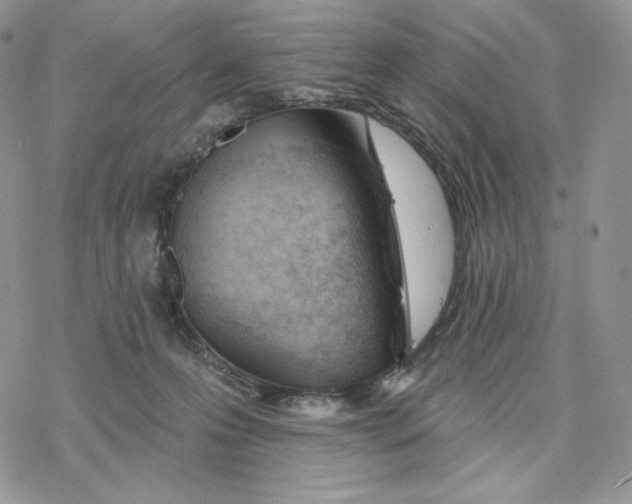 X0000078270223200611251401