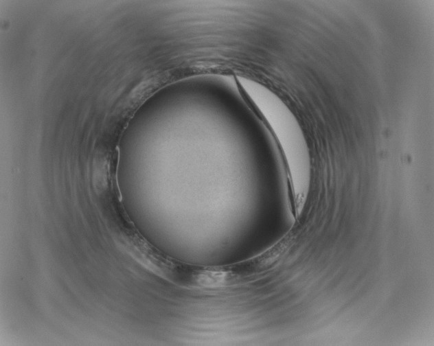 X0000078270227200611251401